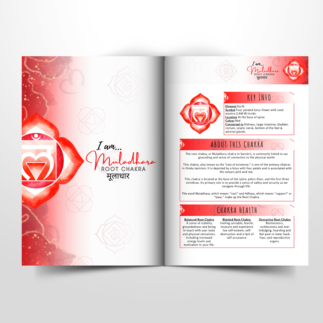 Pre-Order Reiki 21 Day Workbook